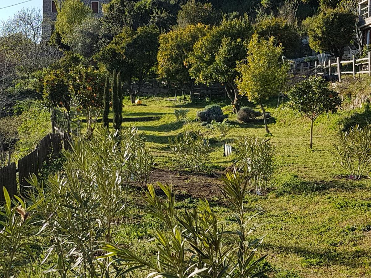 La Villa Guidi Pila-Canale Zewnętrze zdjęcie