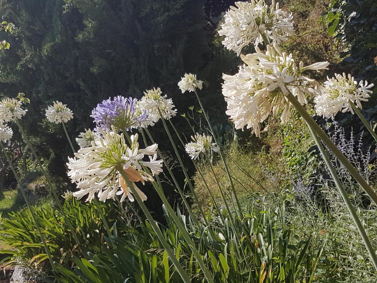 La Villa Guidi Pila-Canale Zewnętrze zdjęcie