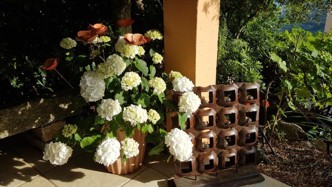 La Villa Guidi Pila-Canale Zewnętrze zdjęcie