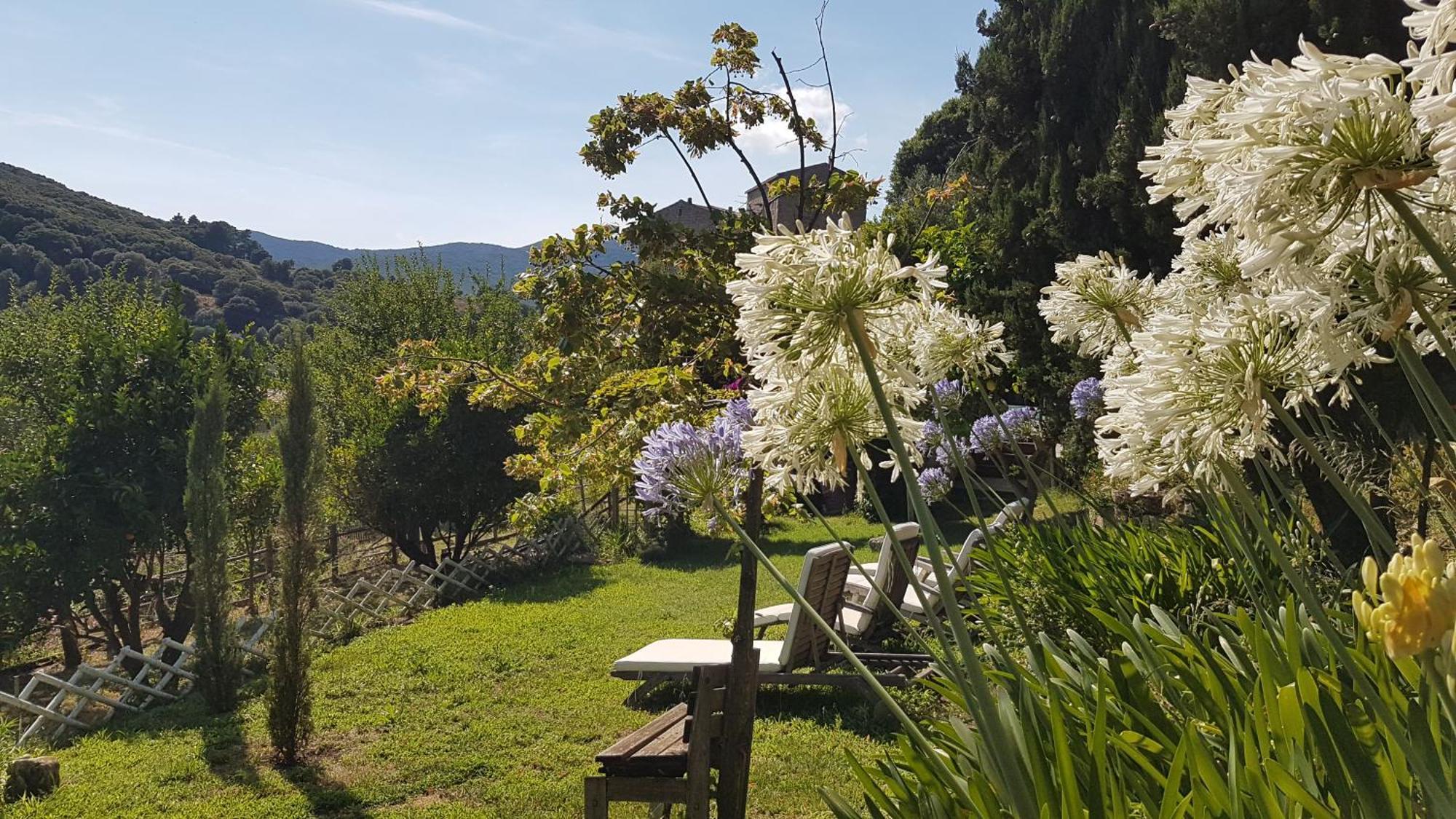 La Villa Guidi Pila-Canale Zewnętrze zdjęcie