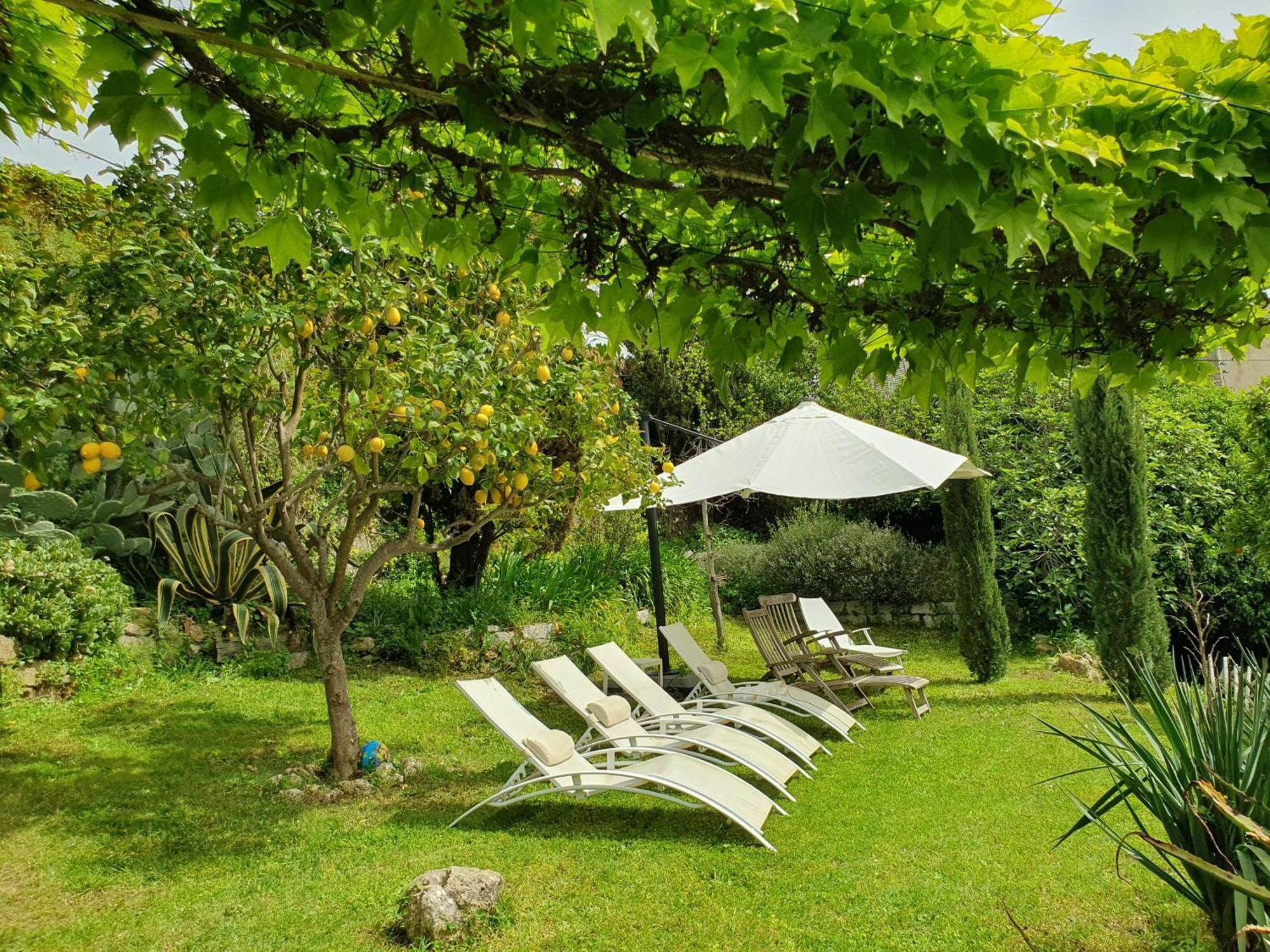 La Villa Guidi Pila-Canale Zewnętrze zdjęcie